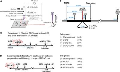 Inhalation of Atmospheric-Pressure Gas Plasma Attenuates Brain Infarction in Rats With Experimental Ischemic Stroke